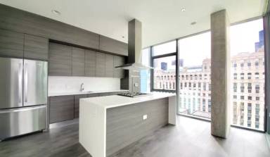 Main picture of 225 W Hubbard St