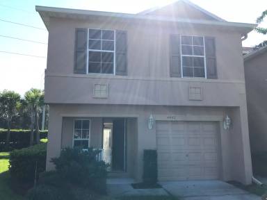 Main picture of 4442 Maidenhair Cv