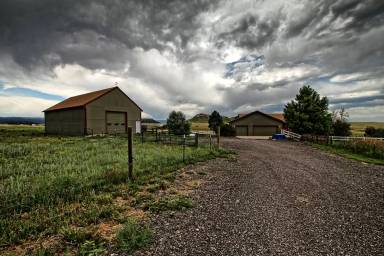 Main picture of 11549 Haskell Creek Rd