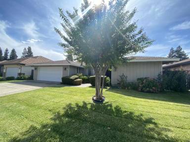 Main picture of 55 Los Gatos Cir