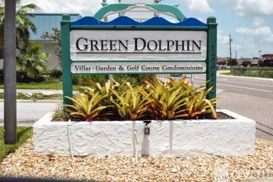 Main picture of Green Dolphin
