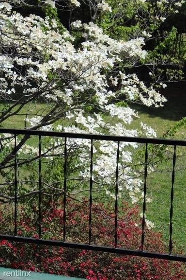 Main picture of 102 Terrace Ct