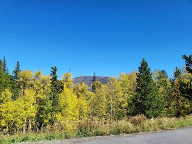 Main picture of 3712 Silverheels Dr