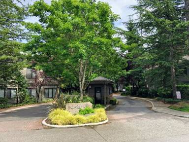 Main picture of 1256 Bellevue Way NE