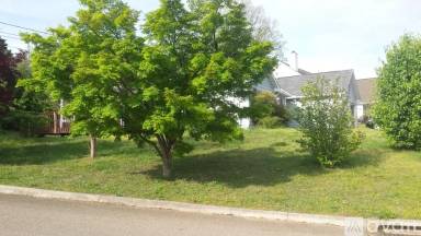 Main picture of 3119 Kingsmore Dr