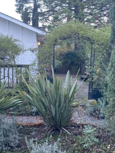 Main picture of 130 Lily Vine Ln