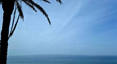 Main picture of 3384 Carlsbad Blvd., Carlsbad, CA 92008 - C