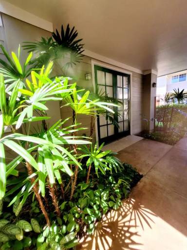 Main picture of 1175 Mokuhano St
