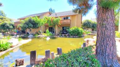 Main picture of 387 Orange Blossom