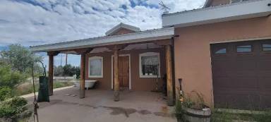 Main picture of 5 Yucca