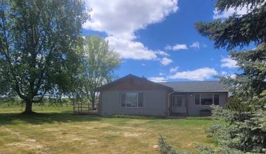 Main picture of 39625 Marigold Ln