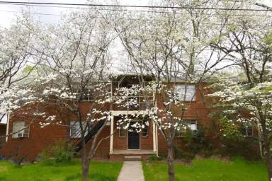 Main picture of 210 Cox Ave