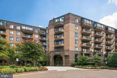 Main picture of Condo Observatory