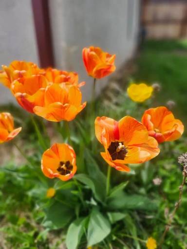 Main picture of 225 N Washington St