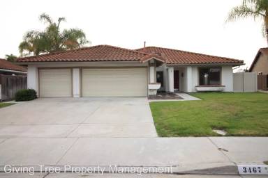 Main picture of 3467 Circulo Adorno