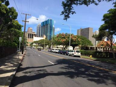 Main picture of 1634 Lusitana St