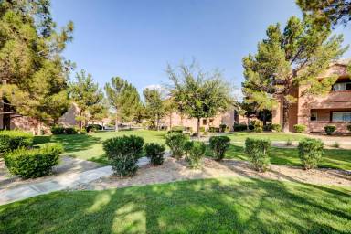 Main picture of Copper Palms