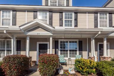 Main picture of 213 Hemingway Cir