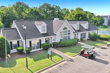 Main picture of Legacy at Festival