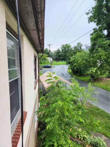 Main picture of 1503 Birdell Rd