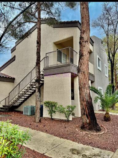 Main picture of Spanish Palms