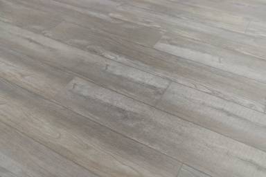 Main picture of 2500 E Blue Tick St