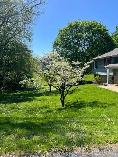 Main picture of 2063 New Holland Pike