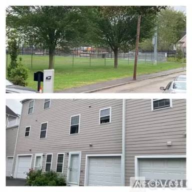 Main picture of 15 Young St