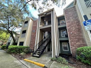 Main picture of 2203 Yankee Pl