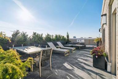 Main picture of The Muse