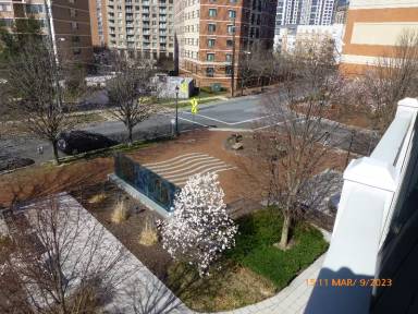 Main picture of 8045 Newell Condos