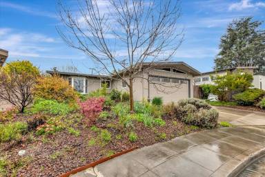 Main picture of 2449 Betlo Ave