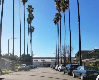 Main picture of 217 Palm Pl