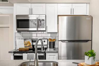 Main picture of Carob Tree