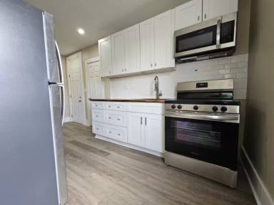 Main picture of 233 W Madison St