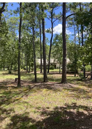 Main picture of 267 Watts Landing Rd