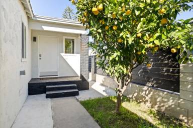 Main picture of 713 Sunset Ave