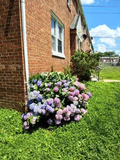 Main picture of 2135 Seneca Rd