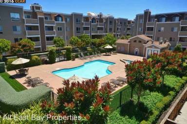 Main picture of Artistry Emeryville Apartments