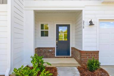 Main picture of 238 Tiger Lily Dr