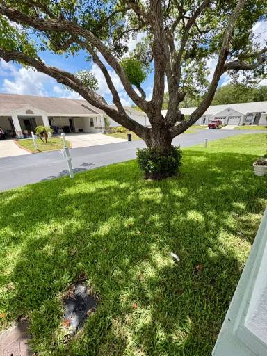 Main picture of 9221 Estrada Pl