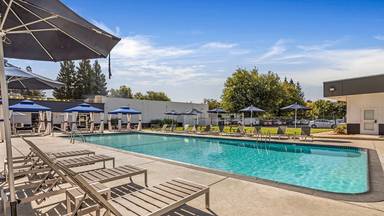 Main picture of The Social Chico