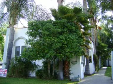 Main picture of 806 N Poinsettia Pl