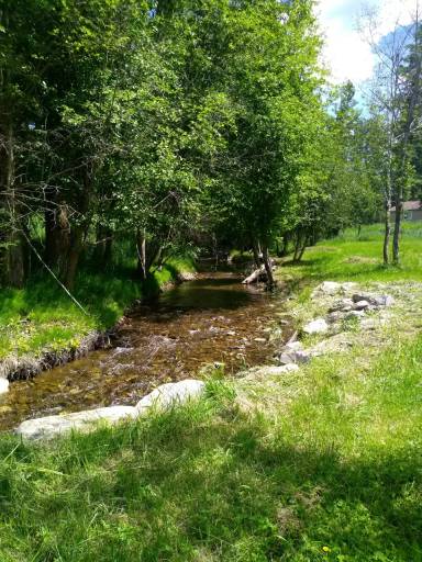 Main picture of 121 Wilderness Trl