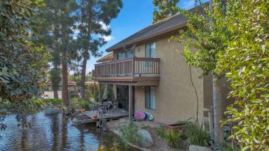 Main picture of 403 Orange Blossom