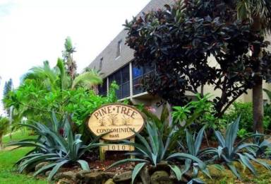 Main picture of 1030 Pinetree Dr 1