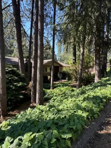 Main picture of 10959 Henson Way