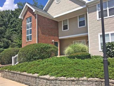 Main picture of 1003 E Duncan St