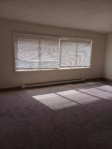 Main picture of 243 Elm St