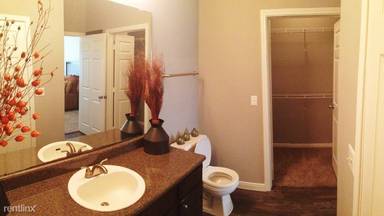 Main picture of Windsor Cypress